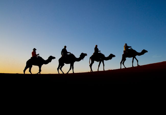 Desert tours from Agadir